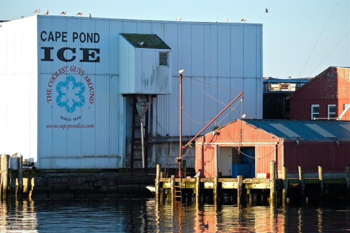 Cape Pond Ice Gloucester Massachusetts waterfront ©Kim Smith 2014