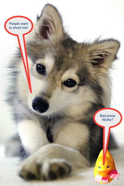 If you don't leave food that I love near your house especially poodles staked out in the backyard I will never bother you.