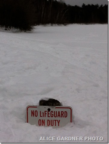 Funny Signs