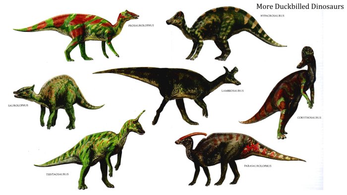 duckbilled-dinosaurs-2