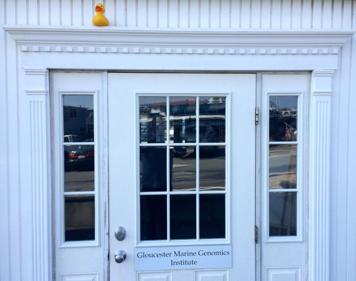 What it might end up being is well paid jobs in Biotech on Cape Ann.