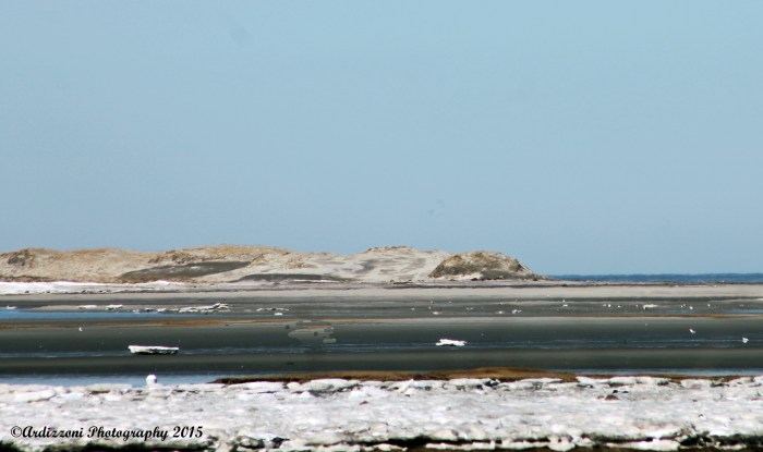 March 16, 2015 taking a drive