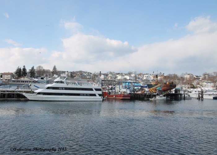 March 2, 2015 Pretty day