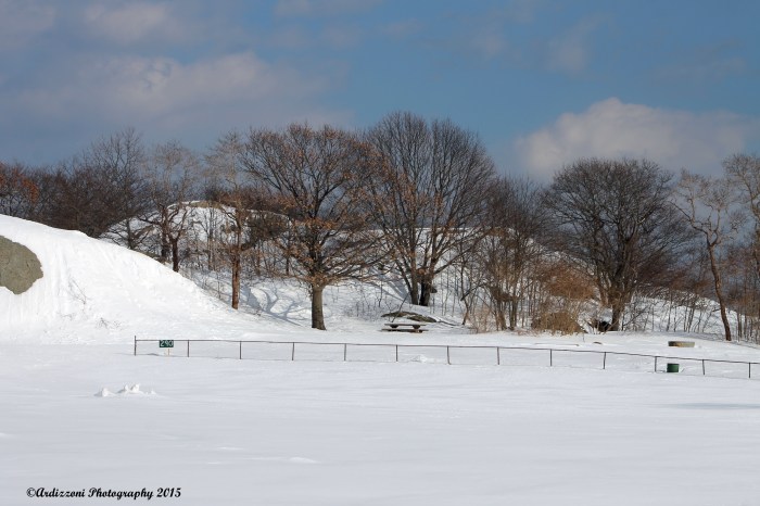 March 2, 2015 Stage Fort Park base ball diamond