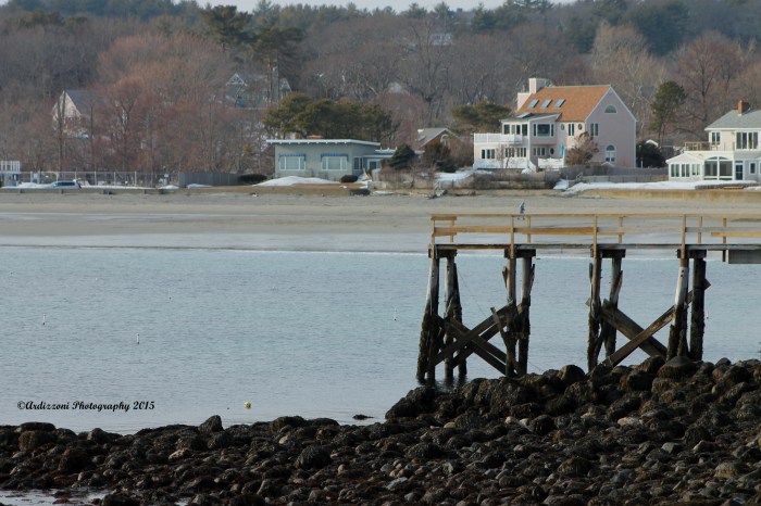 March 21, 2015 low tide at Magnolia Pier
