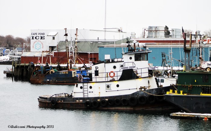 March 5, 2015 The little tug that could