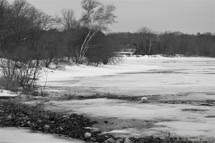 Niles Pond frozen ©Kim Smith 2015