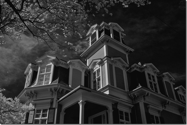 RN Hopper - Dianne Schaefer