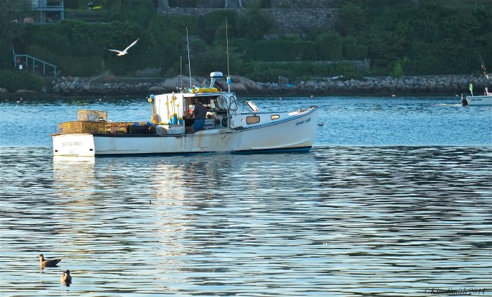 Tiffany Marie Lobster Boat Gloucester Massachusetts ©Kim Smith 2014