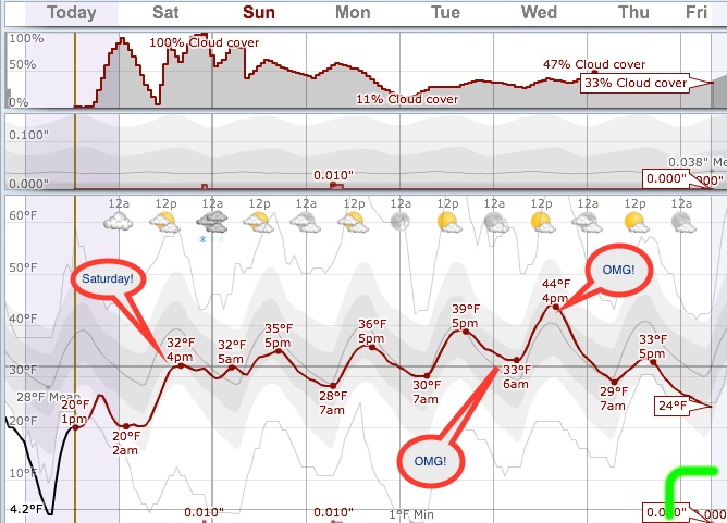 This next week spends most of the time above that nasty freezing line. 