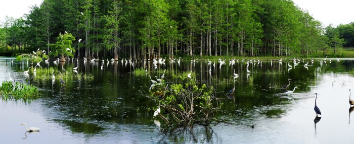 1panorama at the island sm