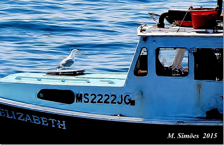 _2015_04_13_052829 - Copy