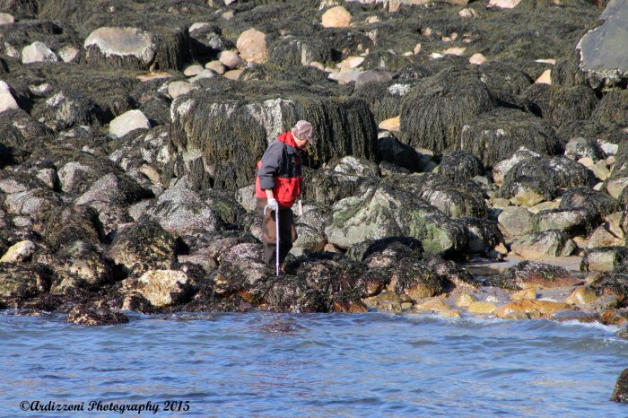 April 2, 2015 treasure hunting