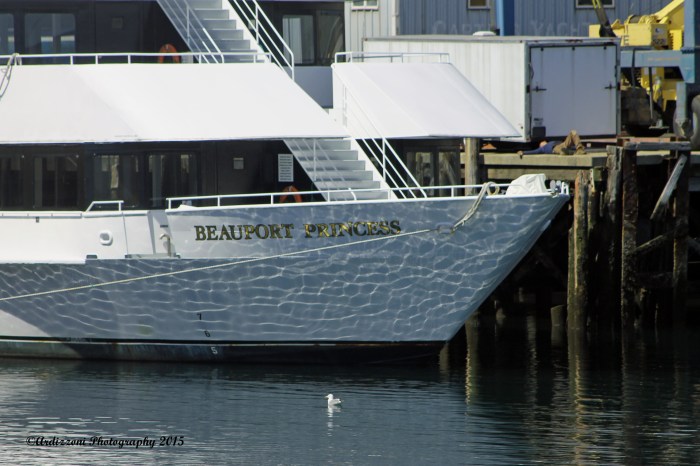 April 28, 2015 Catching some rays near the beautiful Beauport Princess