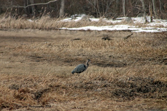 April 9, 2015 very interesting