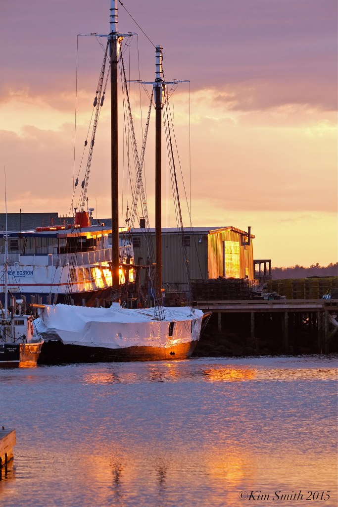 Beacon marine railways ©Kim Smith 2015 copy