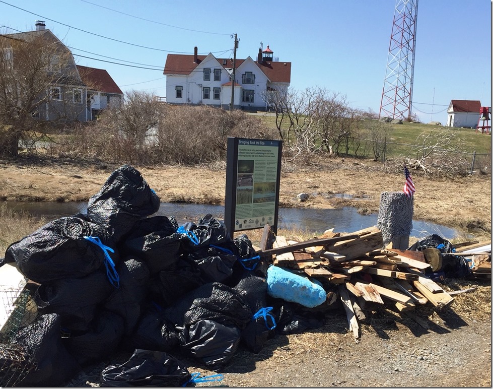 Eastern Point Clean Up
