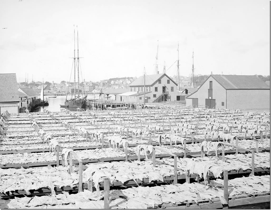 Gloucester_Flake_Yard_1906_1024
