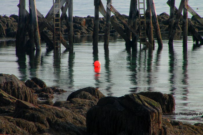 Lonely mooring buoy