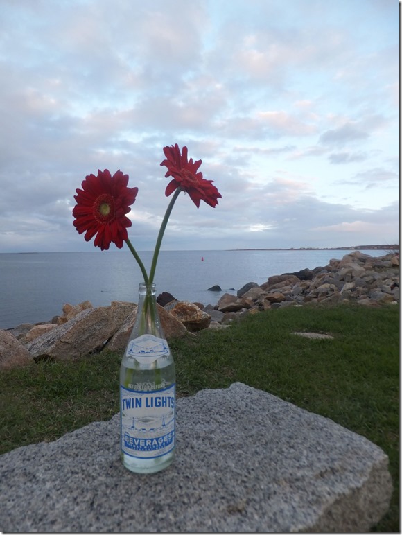 twinlightsattwilight