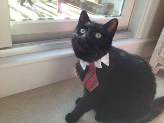 11060930_10153262342493758_9011750355078049480_n