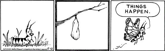 11295727_10153847852029746_1176652844092596214_n