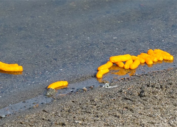 Cheetos ©Kim Smith 20153