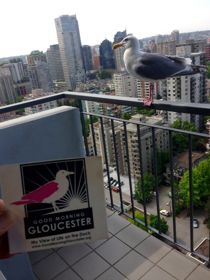 FullSizeRender from Sharon