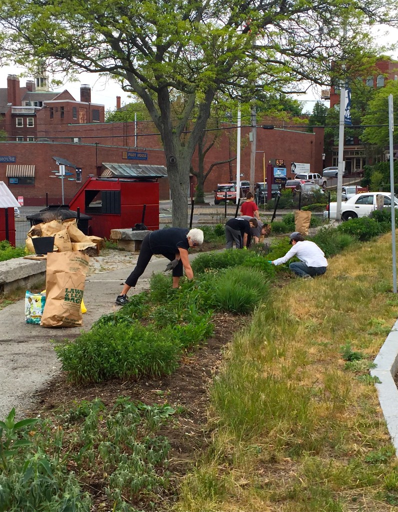 Gloucester HarborWalk volunteers ©Kim Smith 2015