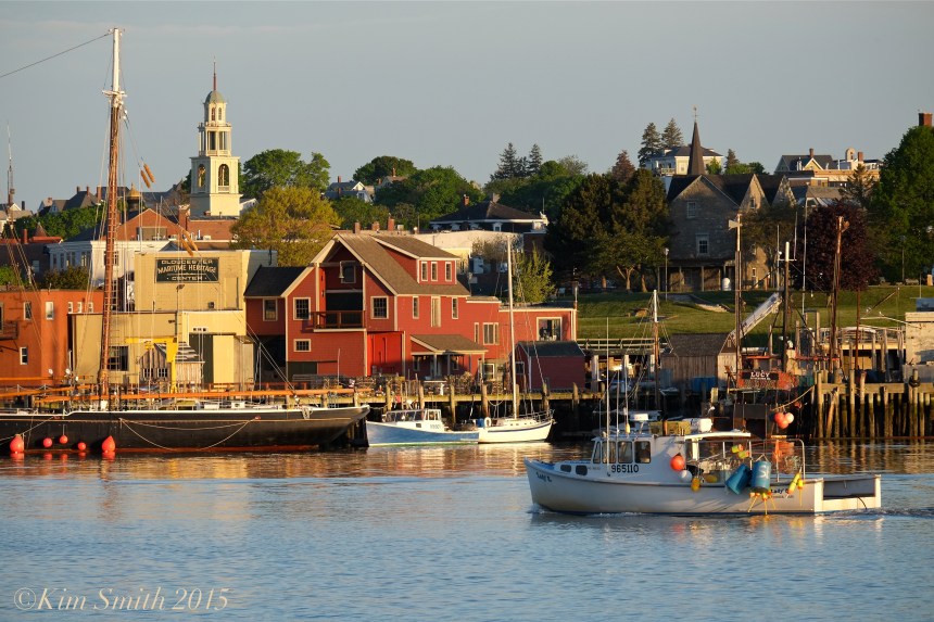 Lady B. Gloucester Lobster Boat ©Kim Smith 2015