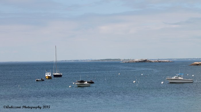 May 29, 2015 Beautiful morning at Magnolia Harbor