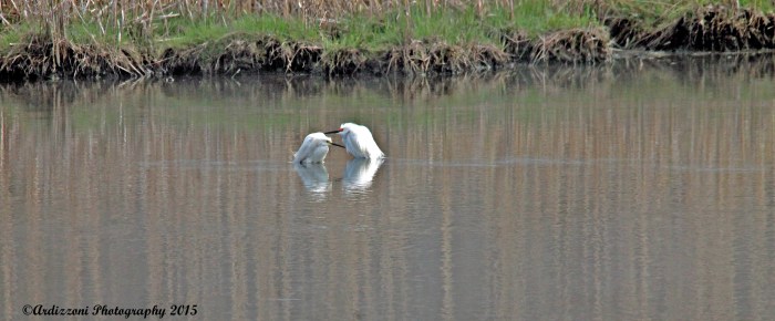 May 9, 2015 cute couple