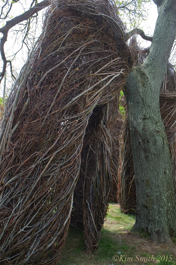 Patrick Dougherty Stickwork Peabody Essex -1 w ©Kim Smith 2015