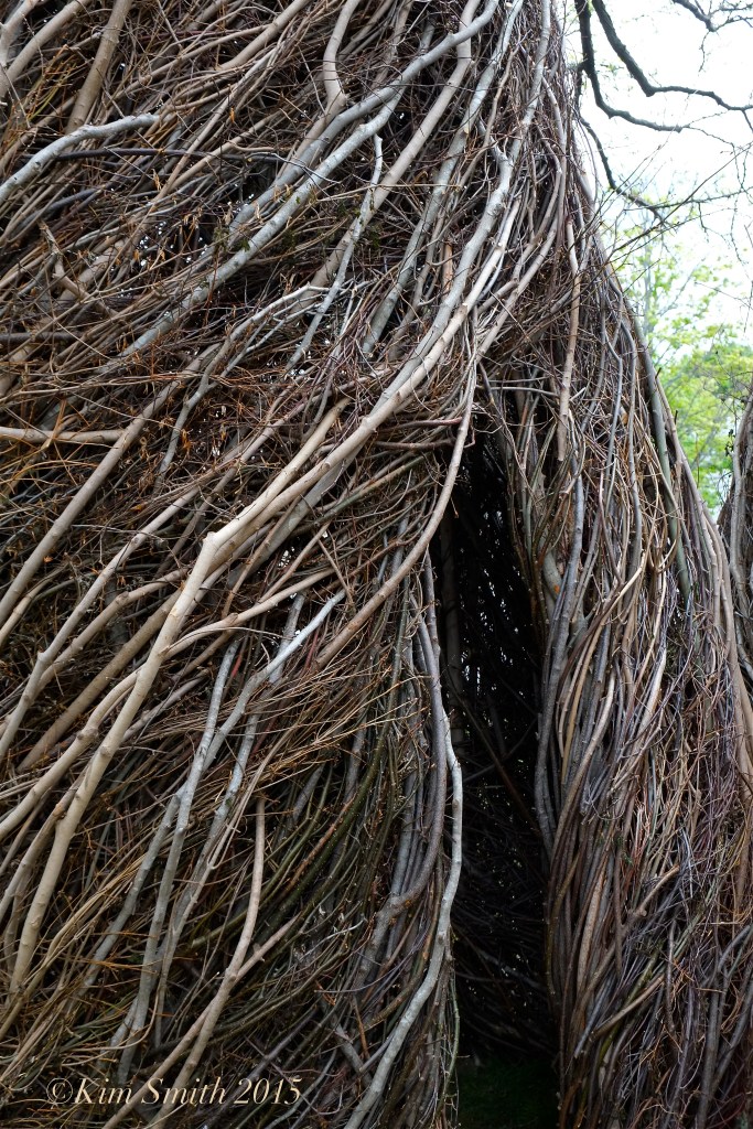 Patrick Dougherty Stickwork Peabody Essex -2 w ©Kim Smith 2015