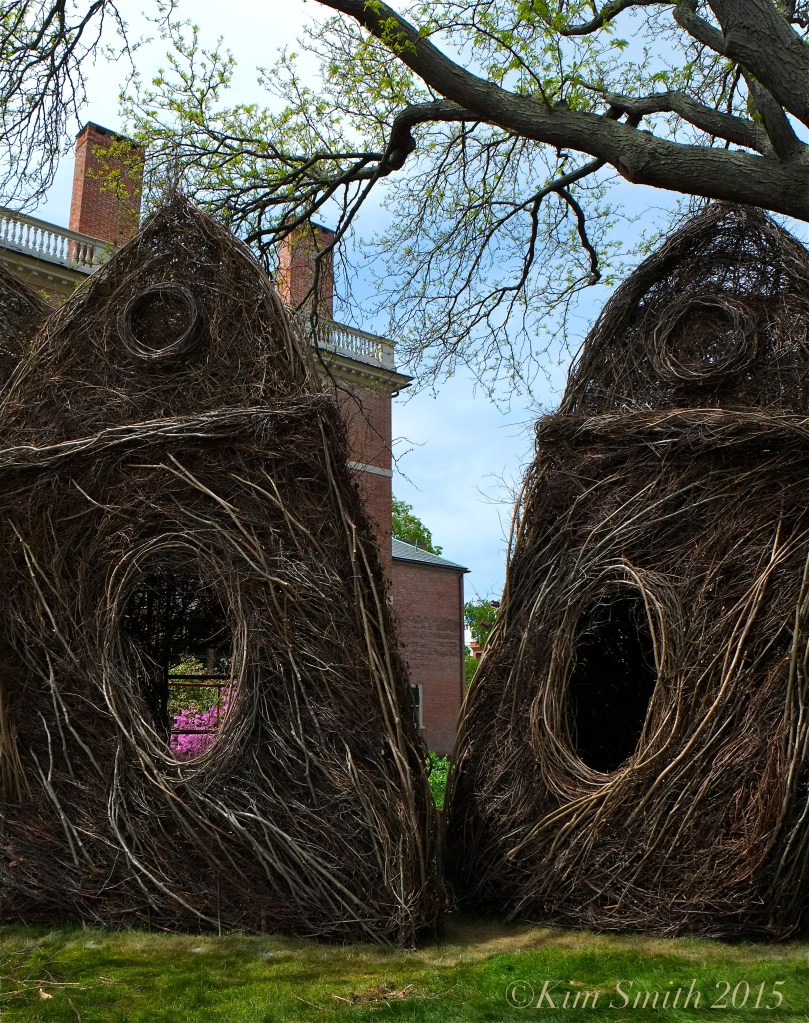 Patrick Dougherty Stickwork Peabody Essex -5 w ©Kim Smith 2015