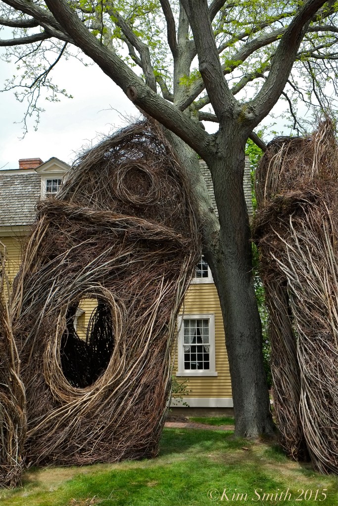 Patrick Dougherty Stickwork Peabody Essex -7 w ©Kim Smith 2015