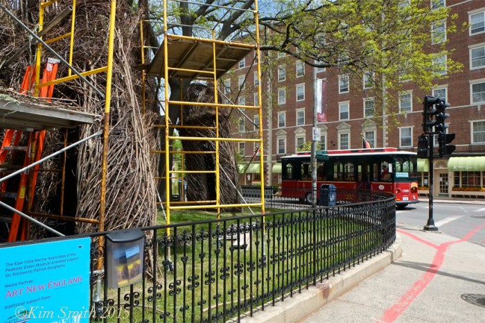 Patrick Dougherty Stickwork Peabody Essex -8 w ©Kim Smith 2015