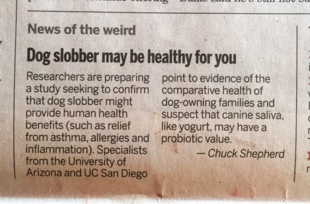 So the next time Stella licks you bluefish paté, eat it!