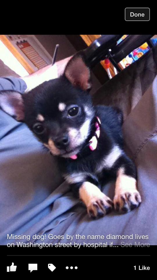 11009135_10206283949165009_605272285926840845_n