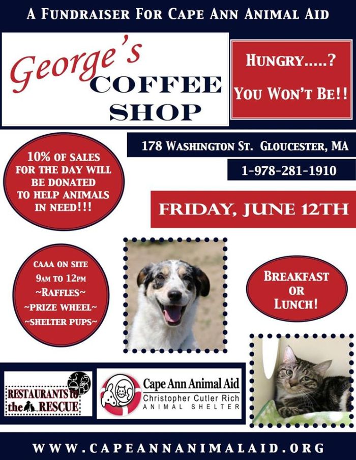 11406161_10153874972932004_6164979740632581509_o