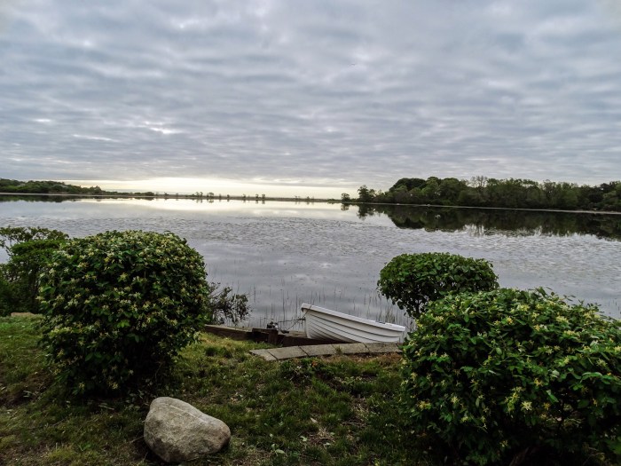 beautiful niles pond morning