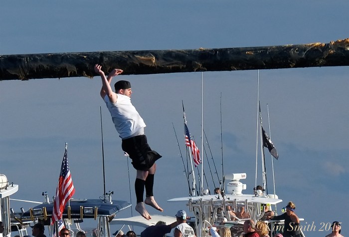 Brandon Paquette Greasy Pole Gloucester ©Kim Smith 2015