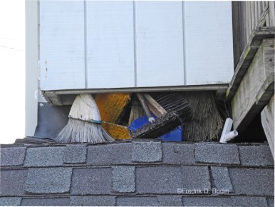 CleanSweepDSCN5873wm