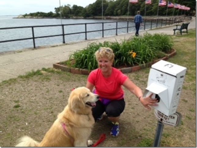 Dog Friendly Gloucester Boulevard Photo 061815