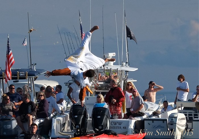 Greasy Pole Gloucester -11 ©Kim Smith 2015
