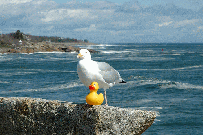 Who is wiggling the granite?