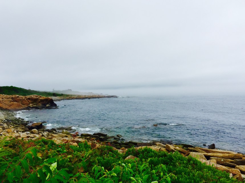 Fog offshore at 12:38 PM June 21, 2015, the Summer Solstice.