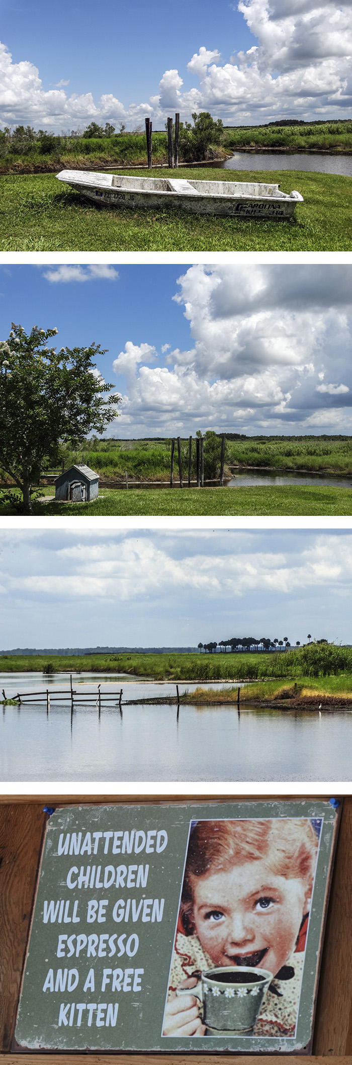jolly gator fish camp