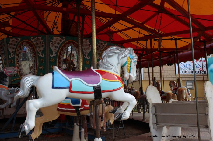 June 23, 2015 merry go round
