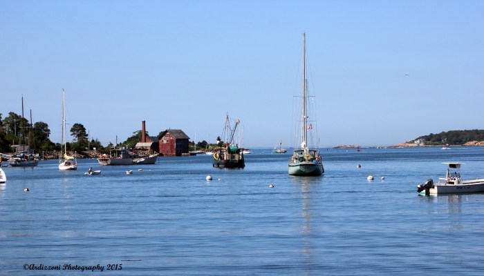 June 30, 2015Oh what a beautiful morning